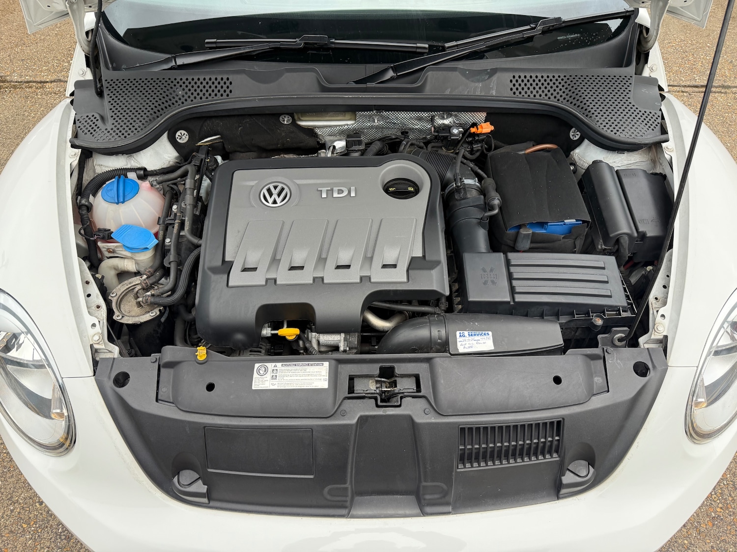 Used Volkswagen Beetle 2013 for sale - 77617881: Photo 32