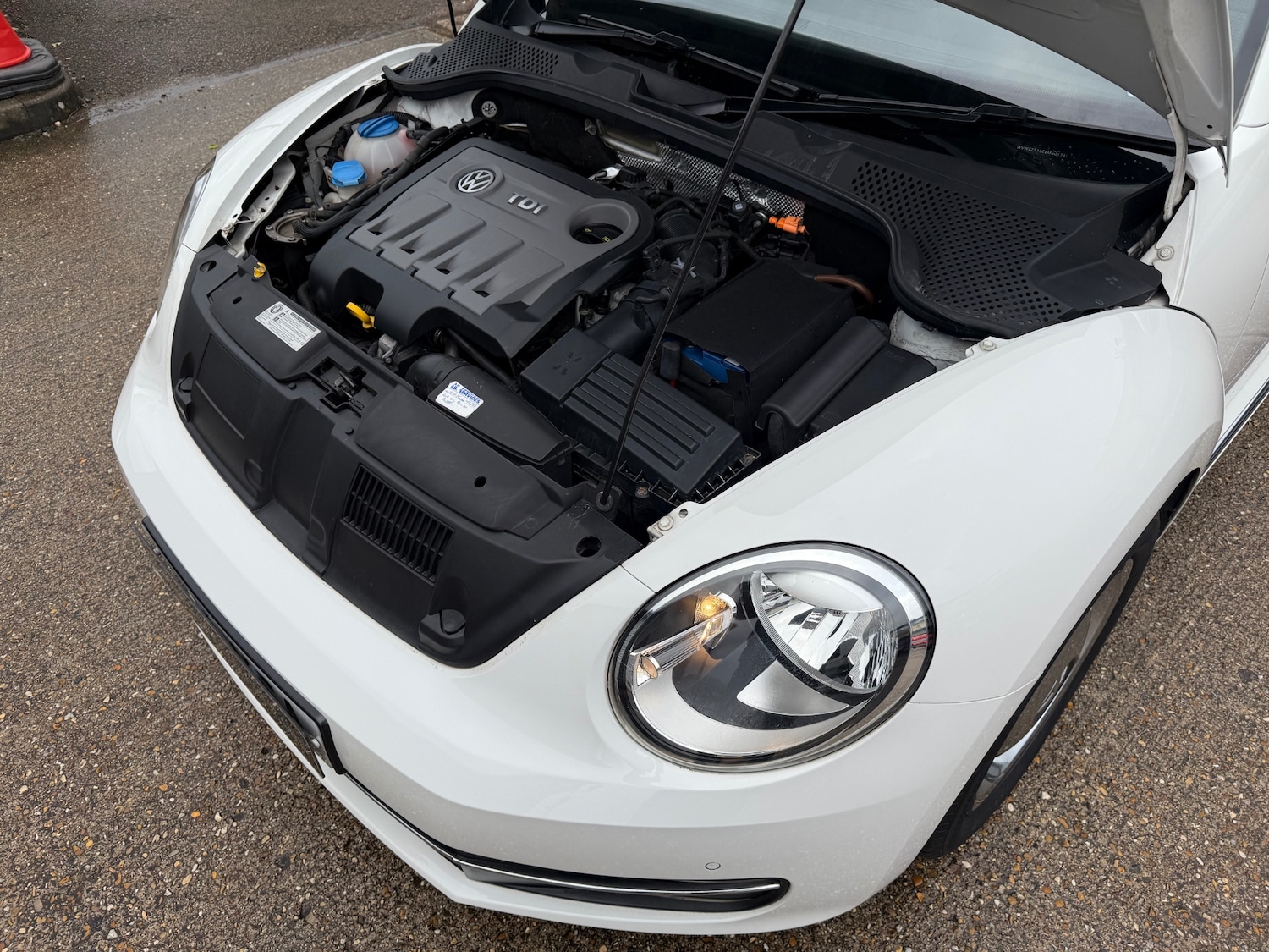 Used Volkswagen Beetle 2013 for sale - 77617881: Photo 37