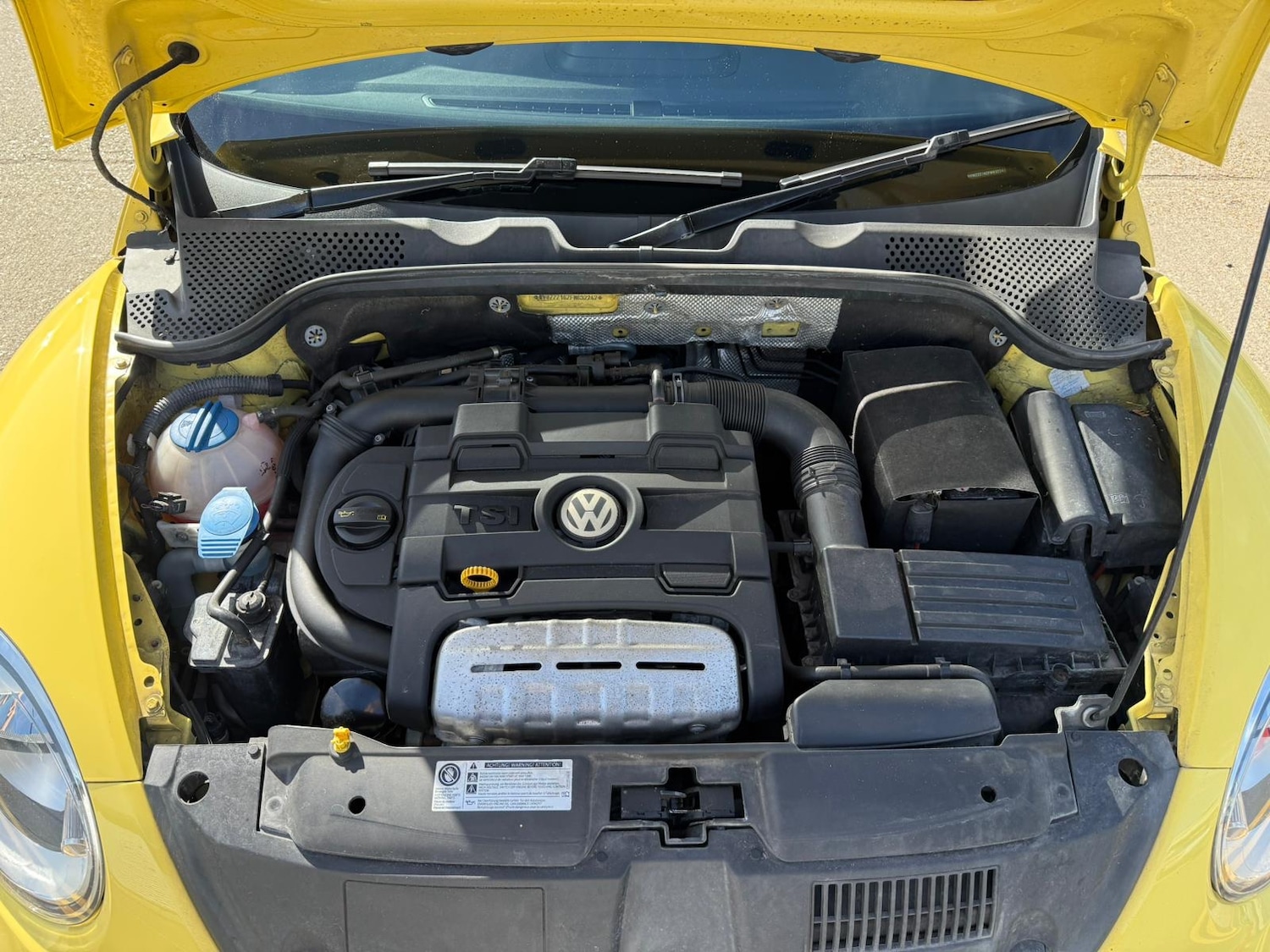 Used Volkswagen Beetle 2015 for sale - 77418632: Photo 61