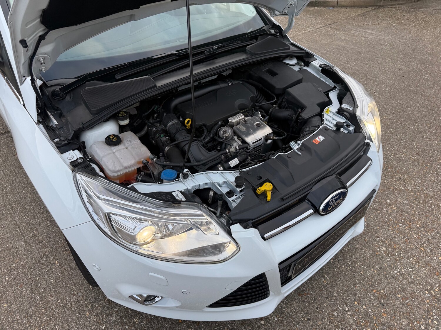 Used Ford Focus 2013 for sale - 77735441: Photo 35