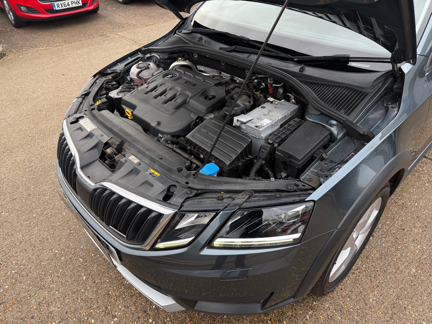 Used Skoda Octavia 2017 for sale - 76719631: Photo 32