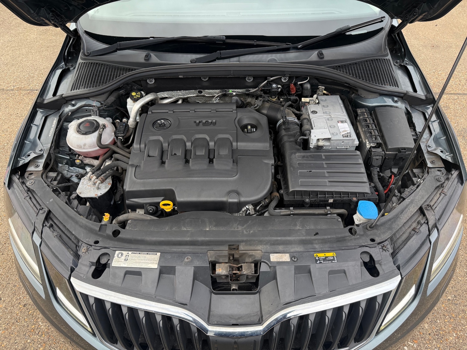 Used Skoda Octavia 2017 for sale - 76719631: Photo 33