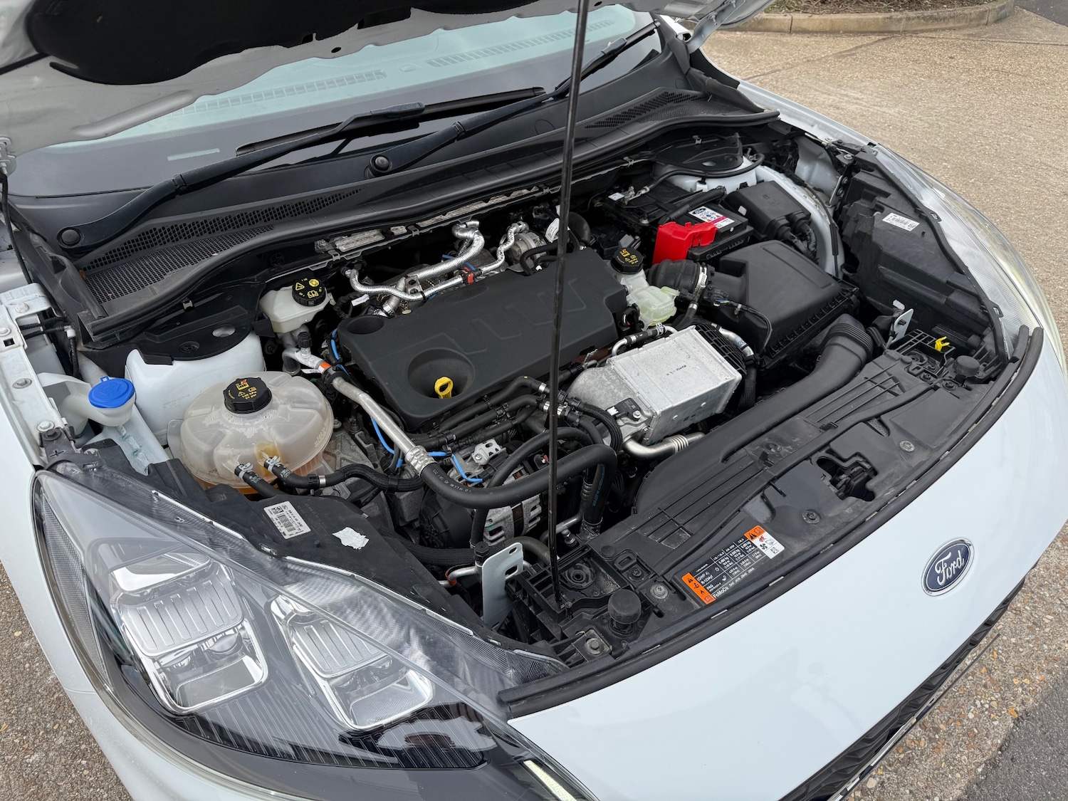 Used Ford Kuga 2022 for sale - 77988531: Photo 40