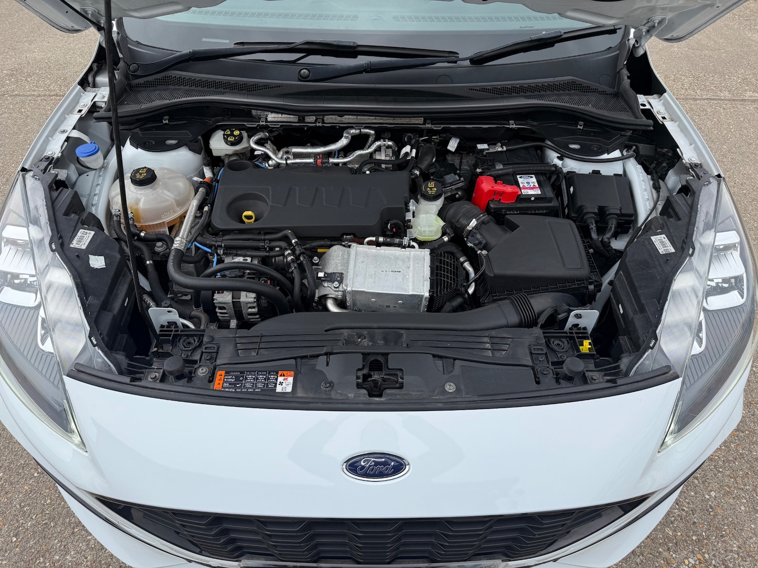 Used Ford Kuga 2022 for sale - 77988531: Photo 45