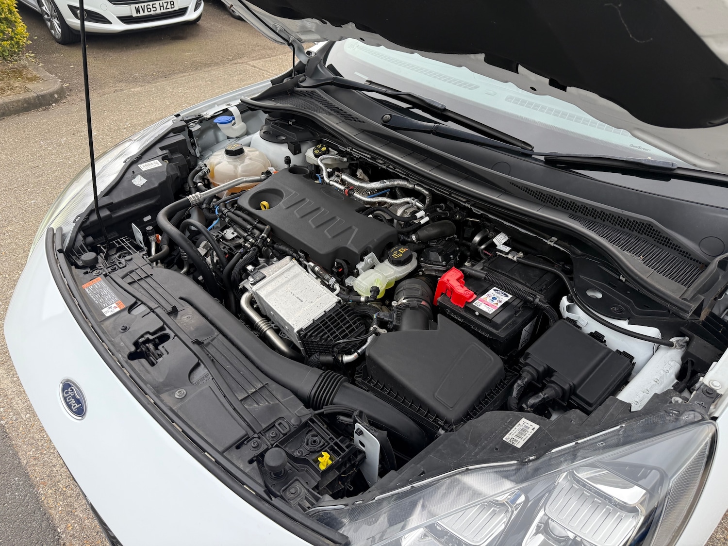 Used Ford Kuga 2022 for sale - 77988531: Photo 48