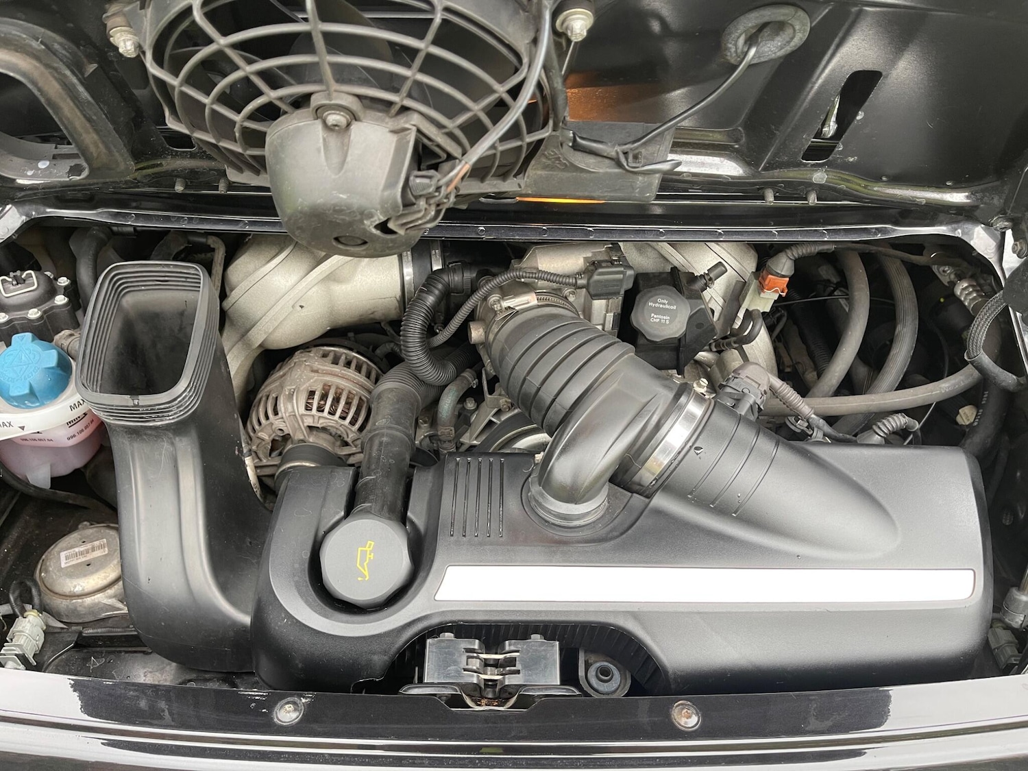 Used Porsche 911 2008 for sale - 78062953: Photo 36