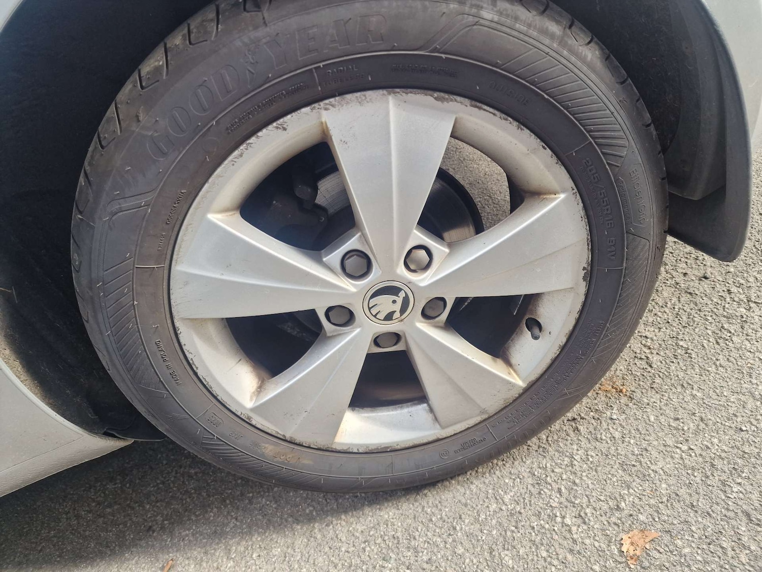 Used Skoda Octavia 2019 for sale - 76143232: Photo 13
