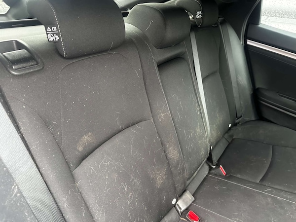 Used Honda Civic 2019 for sale - 75693568: Photo 26
