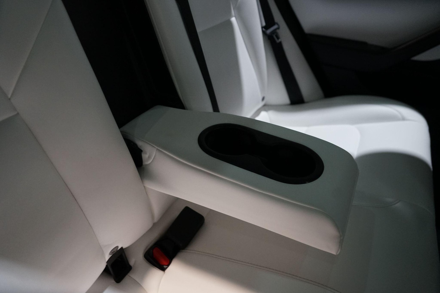 Used Tesla Model 3 2019 for sale - 77190529: Photo 63