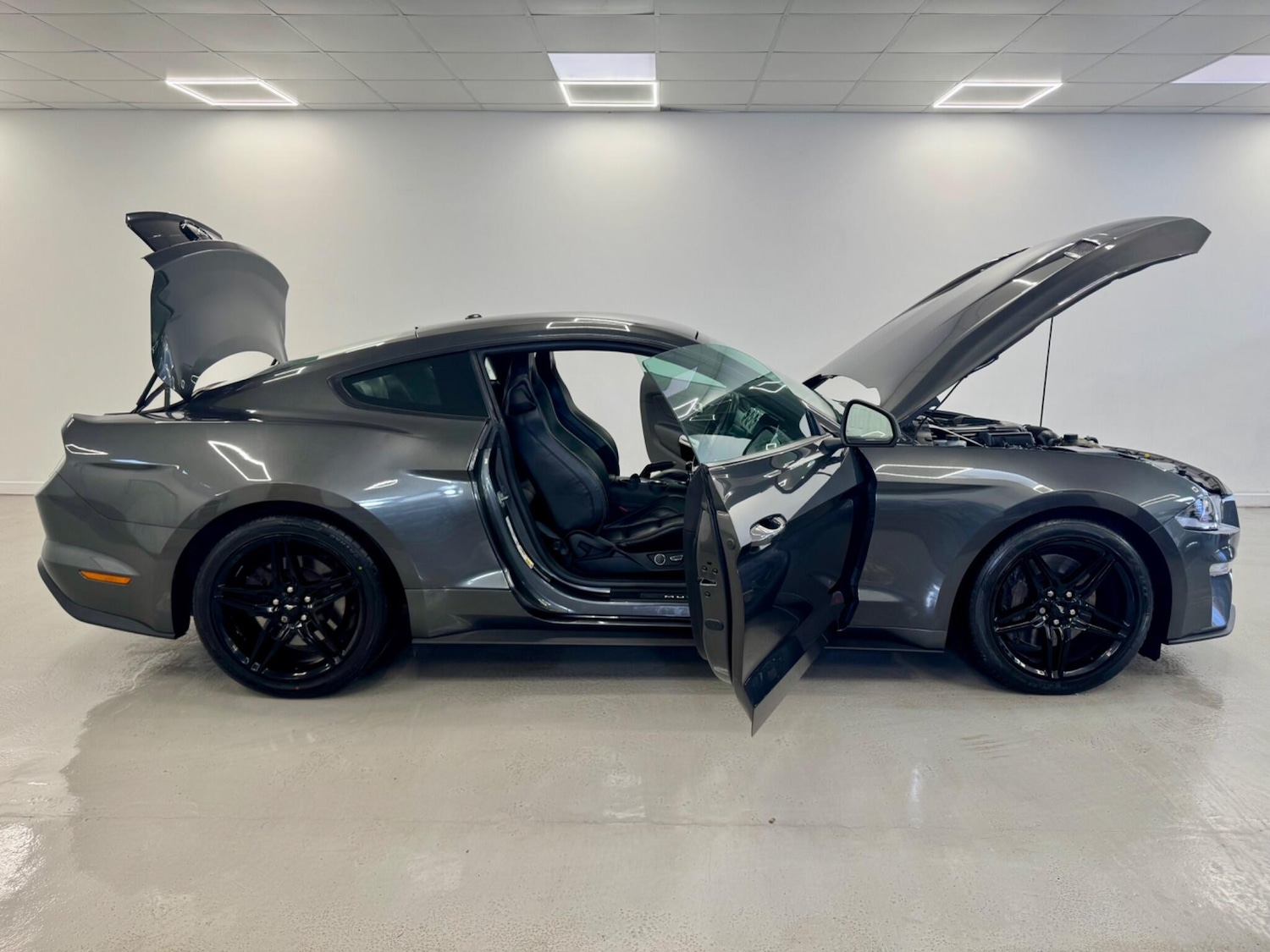Used Ford Mustang 2019 for sale - 77387172: Photo 10