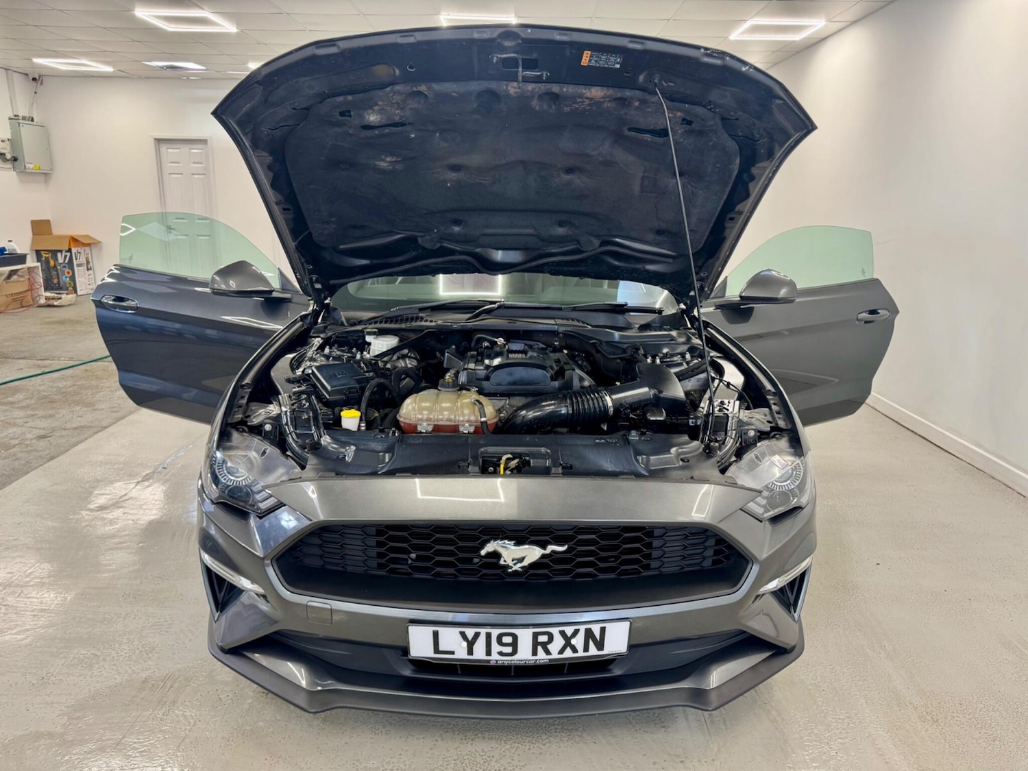 Used Ford Mustang 2019 for sale - 77387172: Photo 29