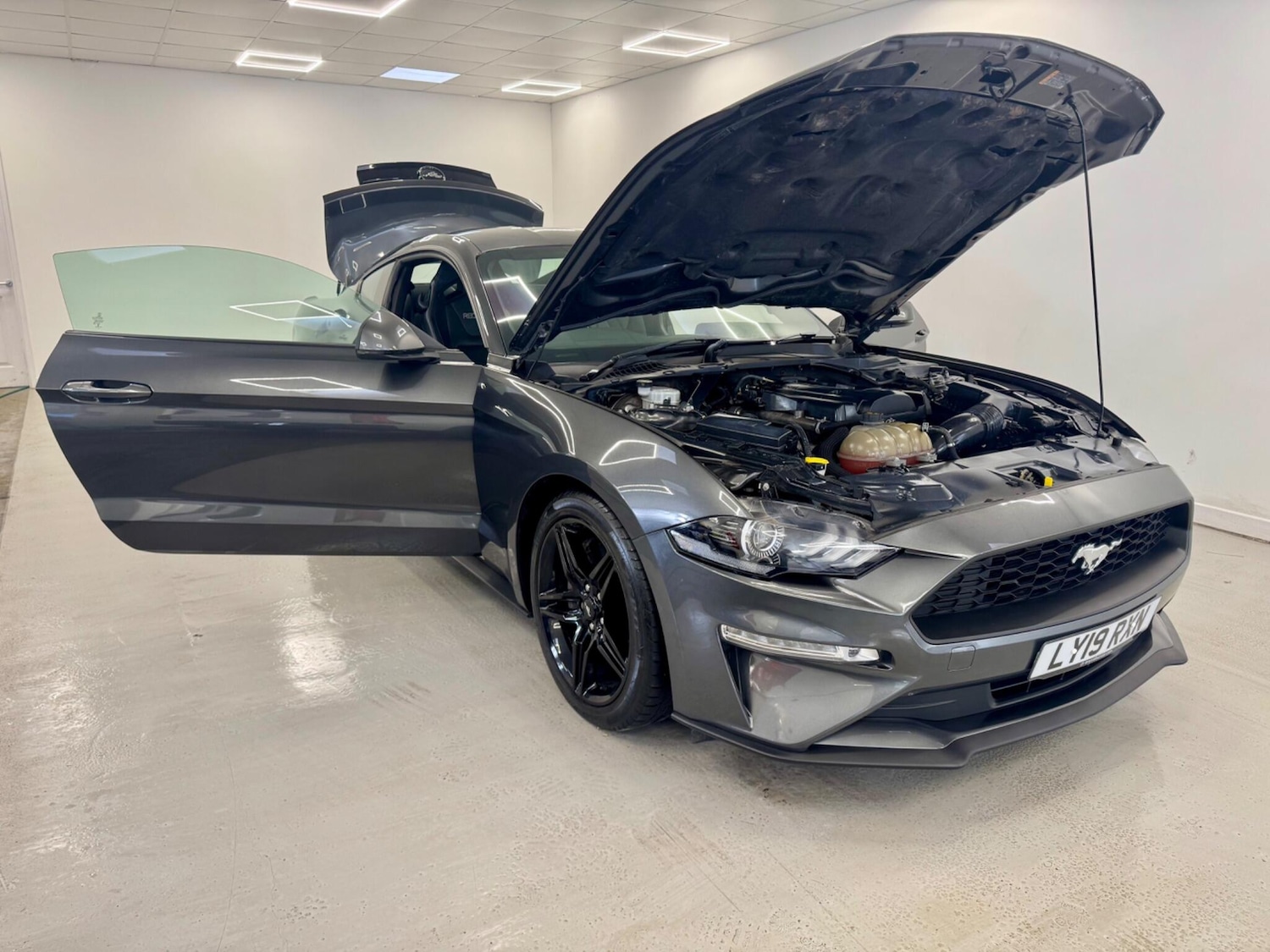 Used Ford Mustang 2019 for sale - 77387172: Photo 5