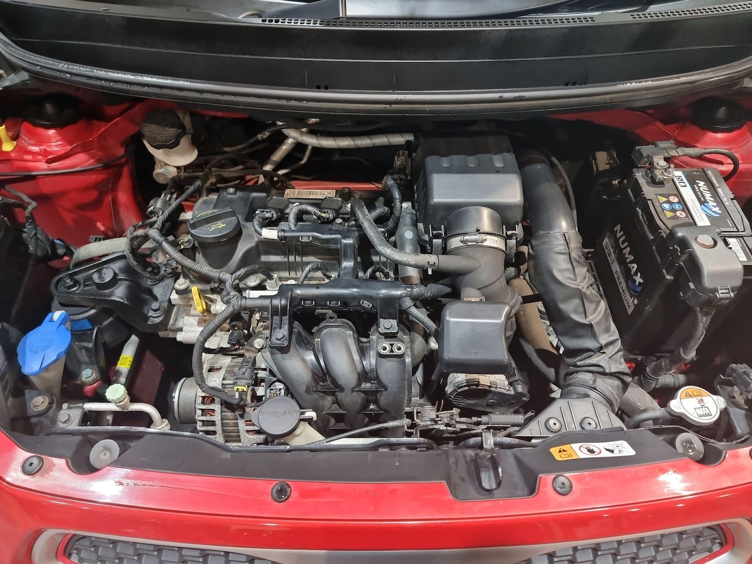 Used Kia Picanto for sale - 77278679: Photo 35