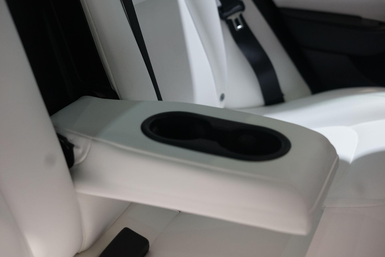 Used Tesla Model 3 2019 for sale - 76803544: Photo 69