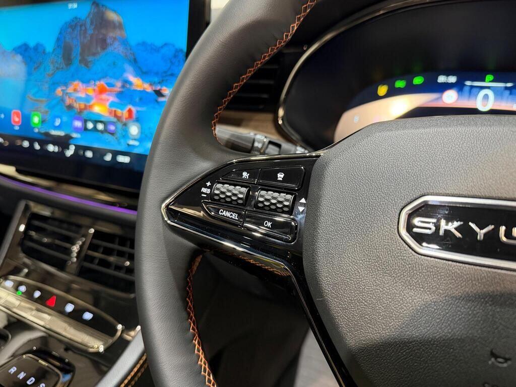 Used Skywell BE11 for sale - 77882671: Photo 30