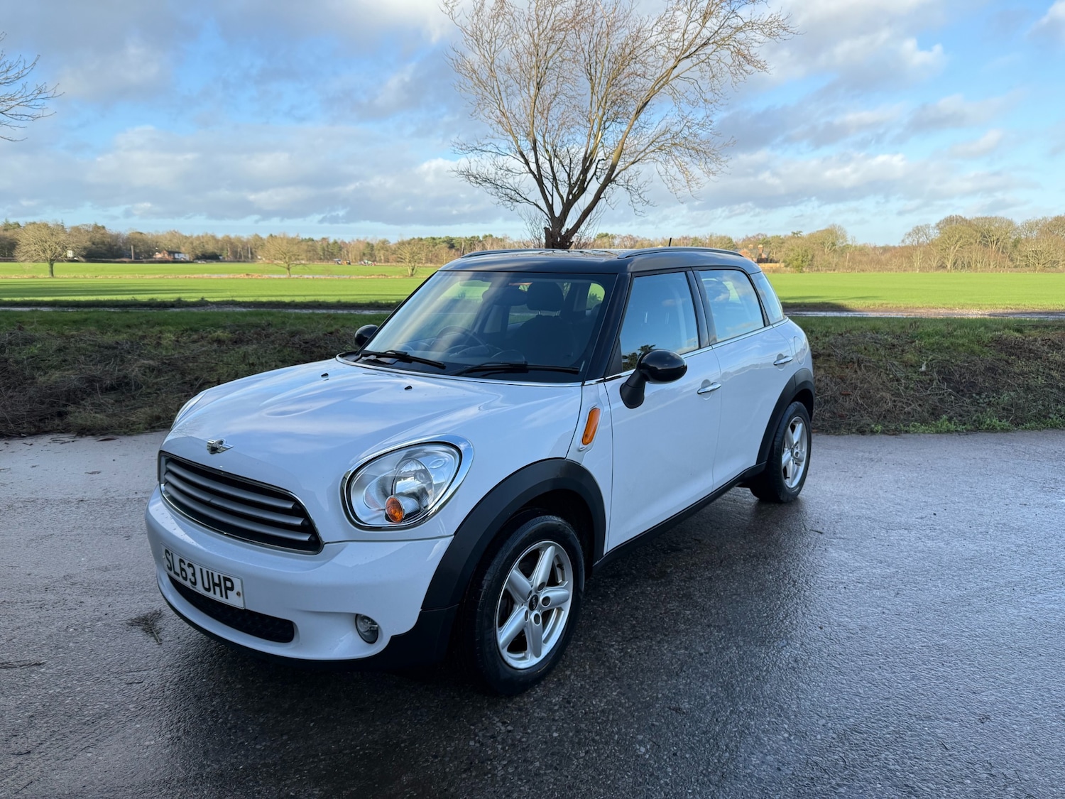 Used MINI Countryman 2013 for sale - 77005641: Photo 1
