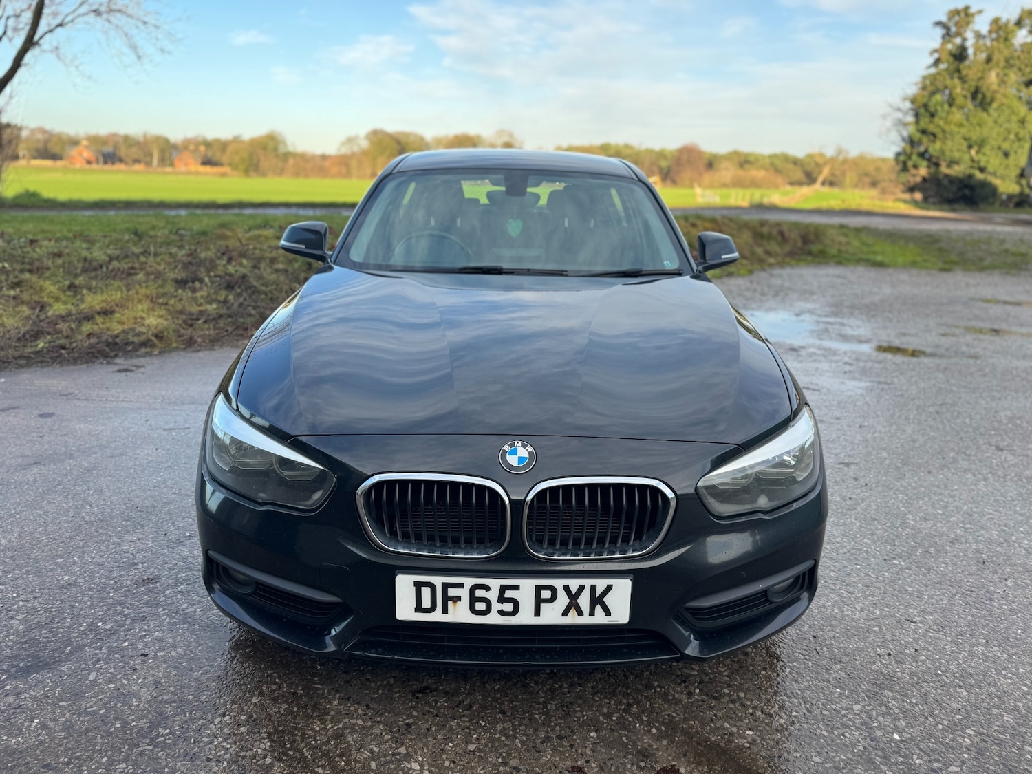 Used BMW 1 Series 2015 for sale - 76958854: Photo 8