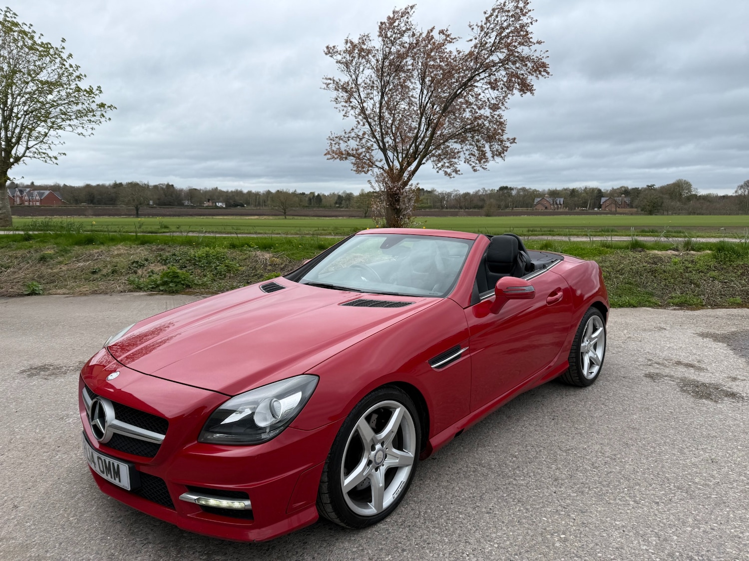 Used Mercedes-Benz SLK 2014 for sale - 78133651: Photo 1