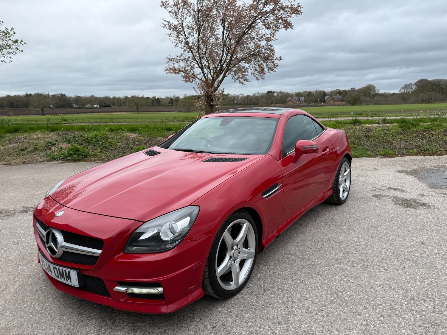 Used Mercedes-Benz SLK 2014 for sale - 78133651: Photo 13