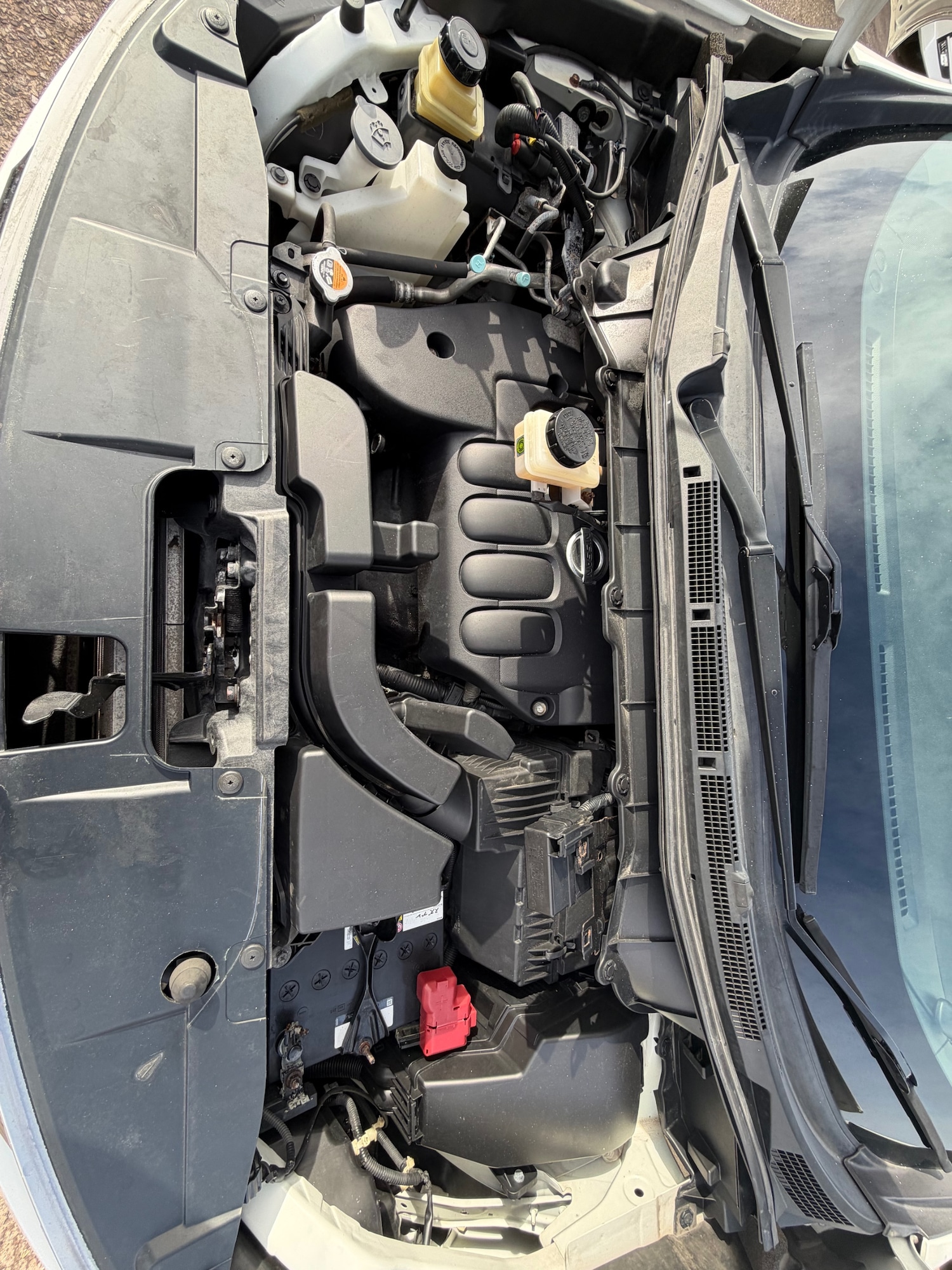 Used Nissan Elgrand 2019 for sale - 76340707: Photo 20