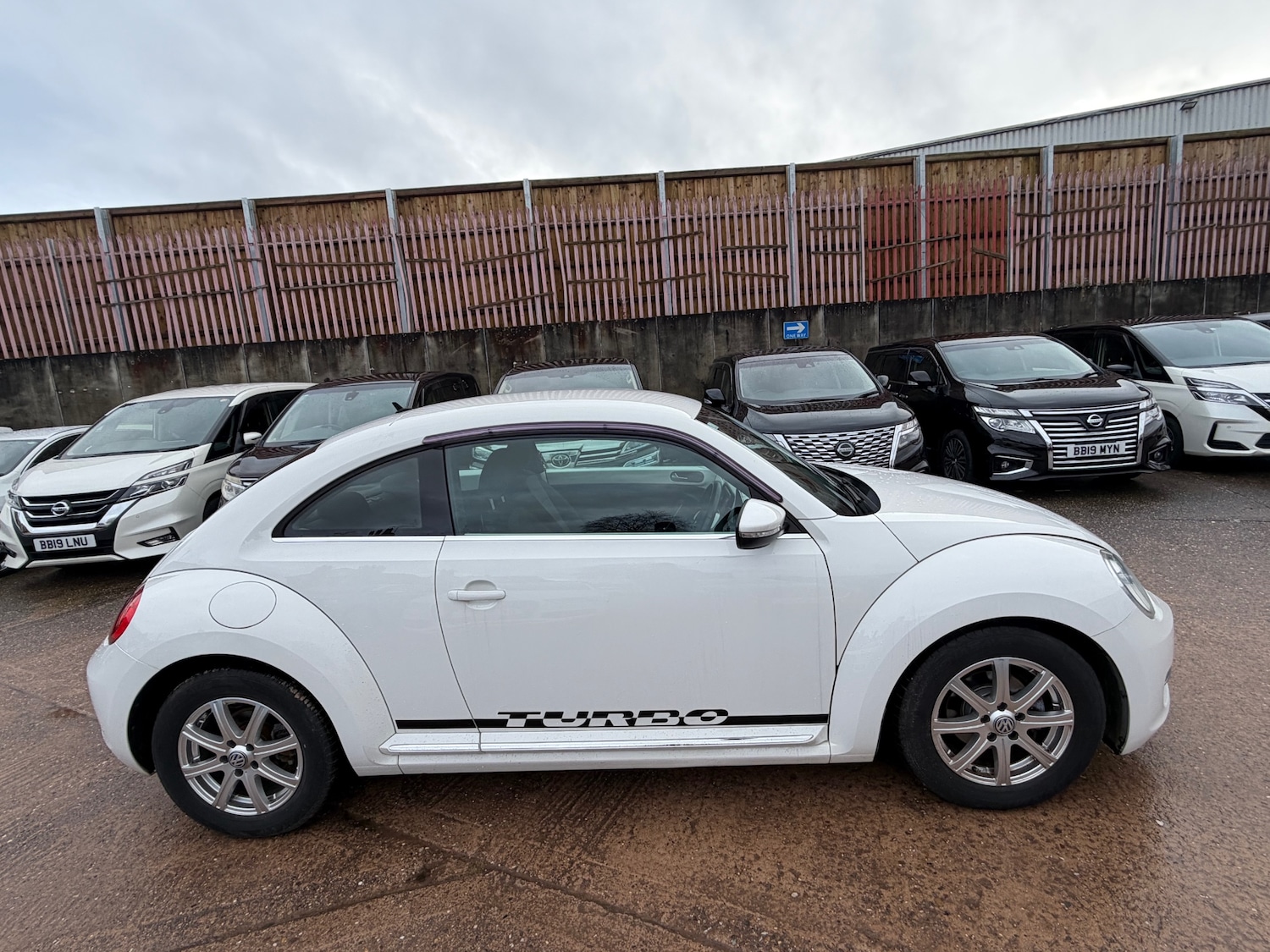 Used Volkswagen Beetle 2013 for sale - 77478189: Photo 7