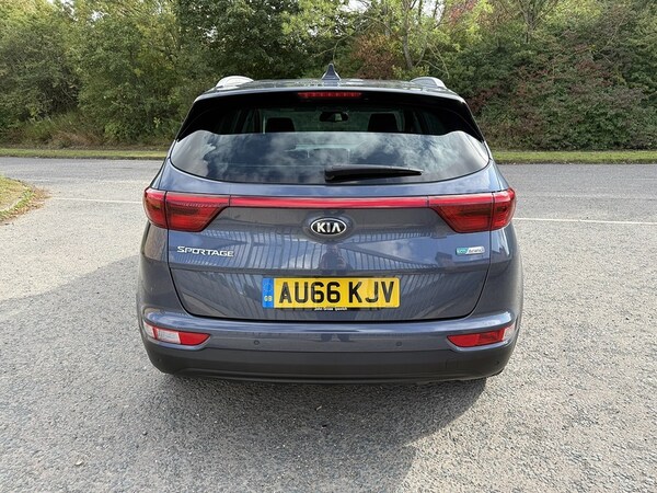 Used Kia Sportage 2016 for sale - 76280509: Photo 11