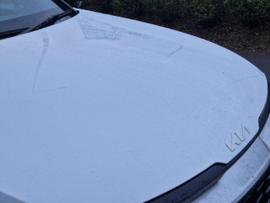 Used Kia Sportage 2023 for sale - 76942489: Photo 42