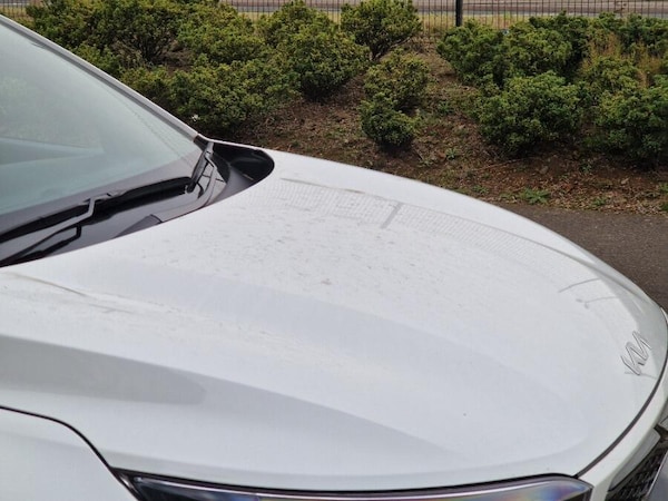 Used Kia Stonic 2024 for sale - 76227069: Photo 49