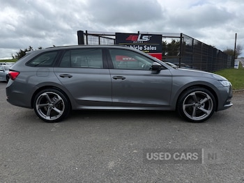 Used Skoda Octavia 2024 for sale - 79325596: Photo