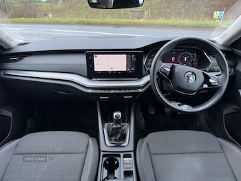 Used Skoda Octavia 2024 for sale - 79325596: Photo