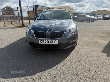 Used Skoda Octavia 2020 for sale - 76043611: Photo