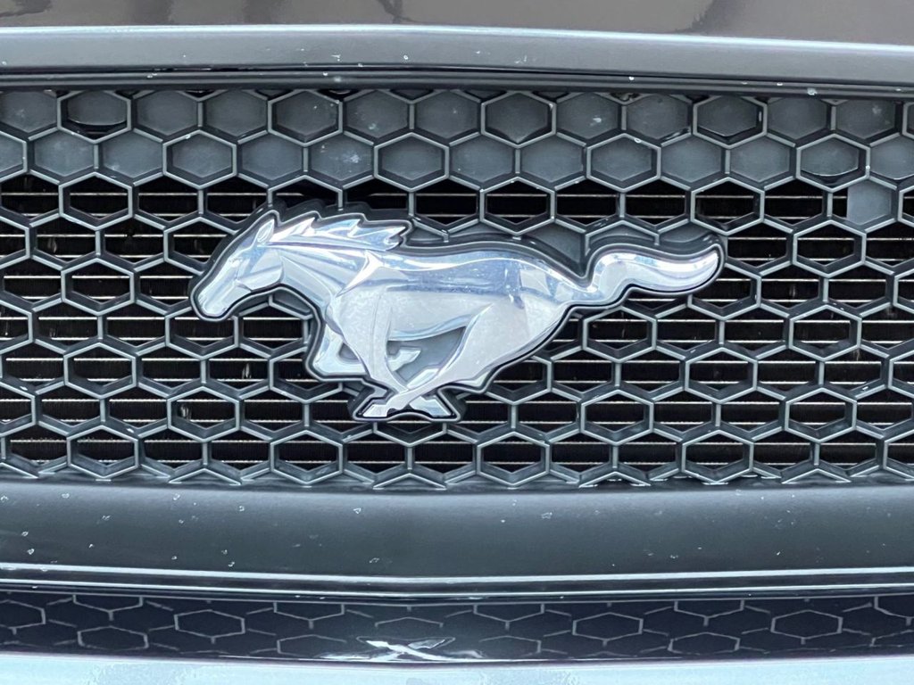 Used Ford Mustang 2016 for sale - 77048724: Photo 18