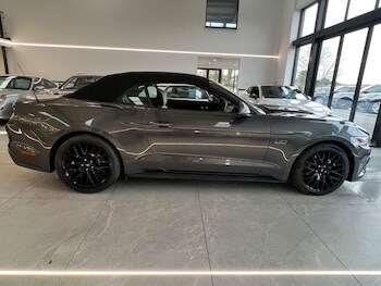 Used Ford Mustang 2016 for sale - 77048724: Photo