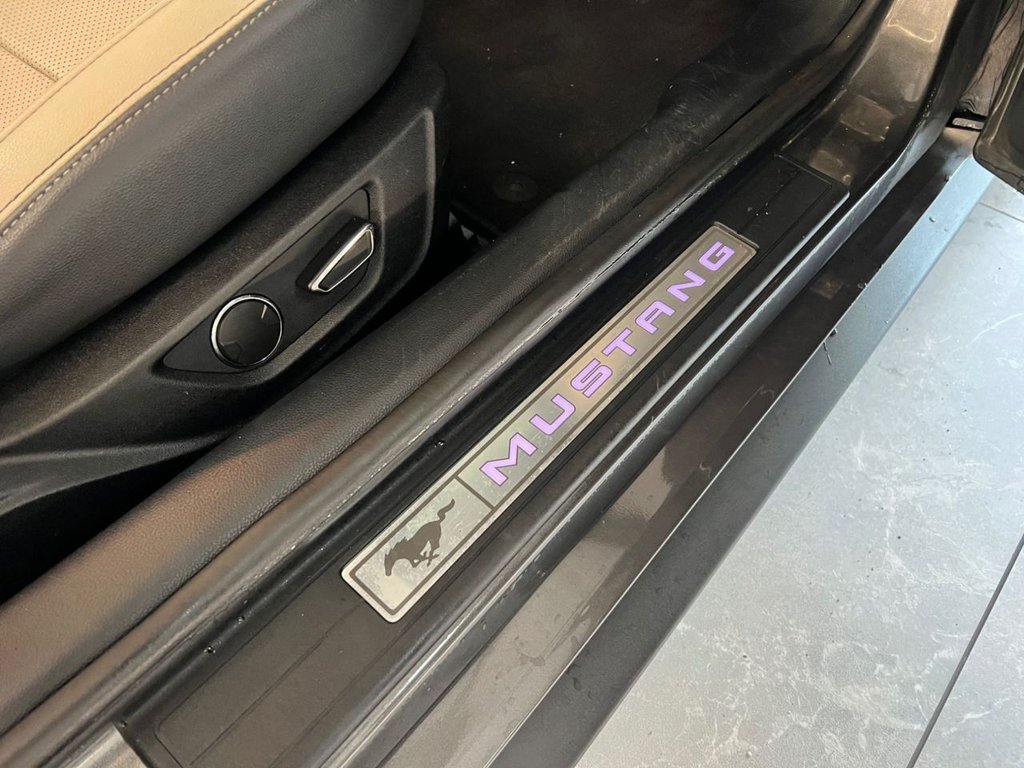 Used Ford Mustang 2016 for sale - 77048724: Photo 31