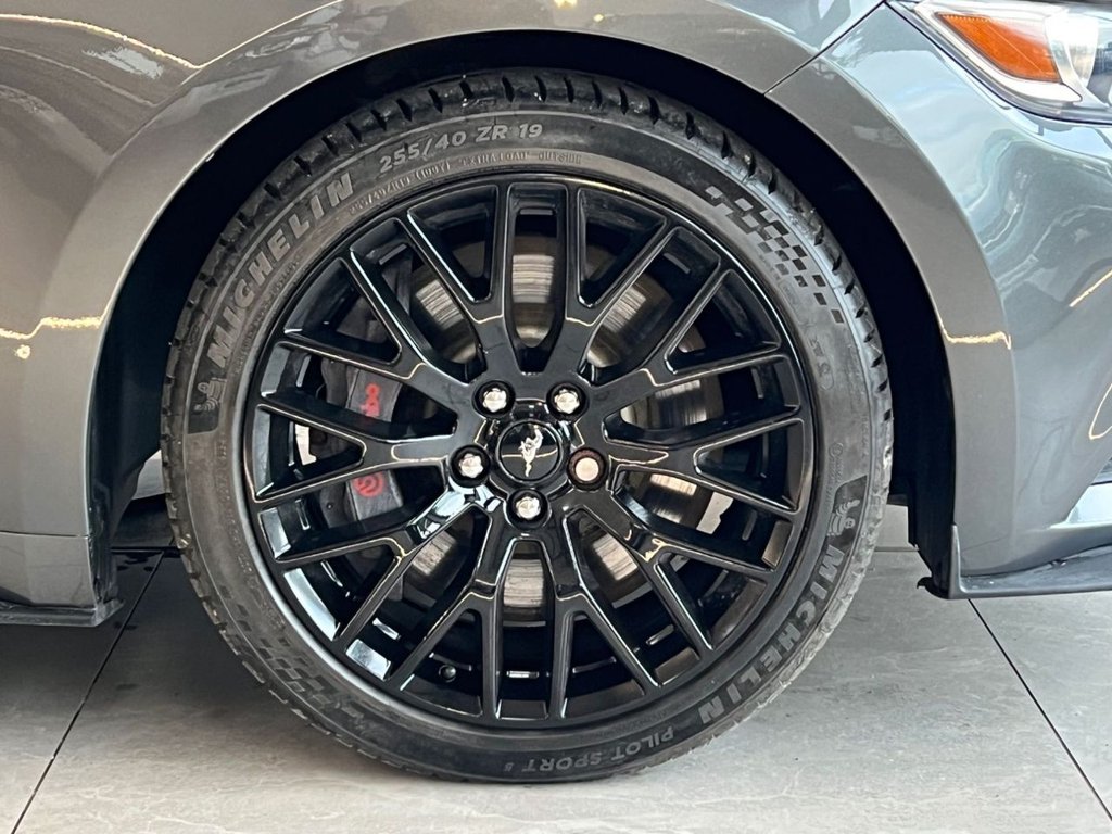 Used Ford Mustang 2016 for sale - 77048724: Photo 8