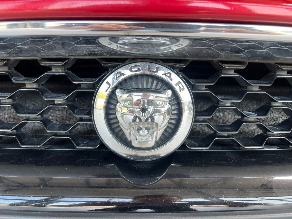 Used Jaguar F-Type 2014 for sale - 77369349: Photo 15