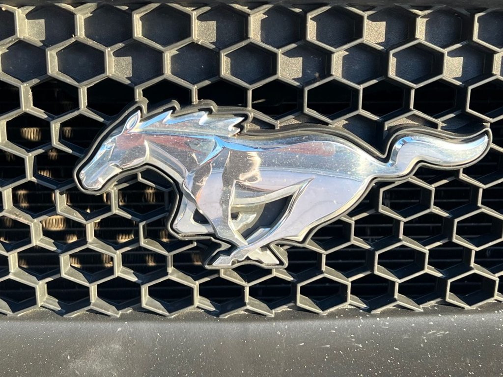 Used Ford Mustang 2016 for sale - 76686109: Photo 17