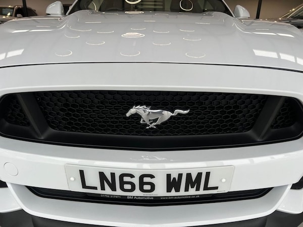 Used Ford Mustang 2016 for sale - 75528168: Photo 15