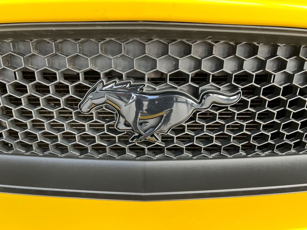 Used Ford Mustang 2017 for sale - 76417949: Photo 17