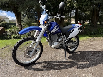 Used Yamaha TTR 600 RE 2004 for sale - bike-77953950: Photo