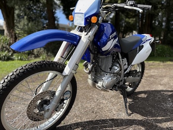 Used Yamaha TTR 600 RE 2004 for sale - bike-77953950: Photo