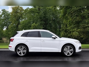 Used Audi Q5 2019 for sale - 78181484: Photo