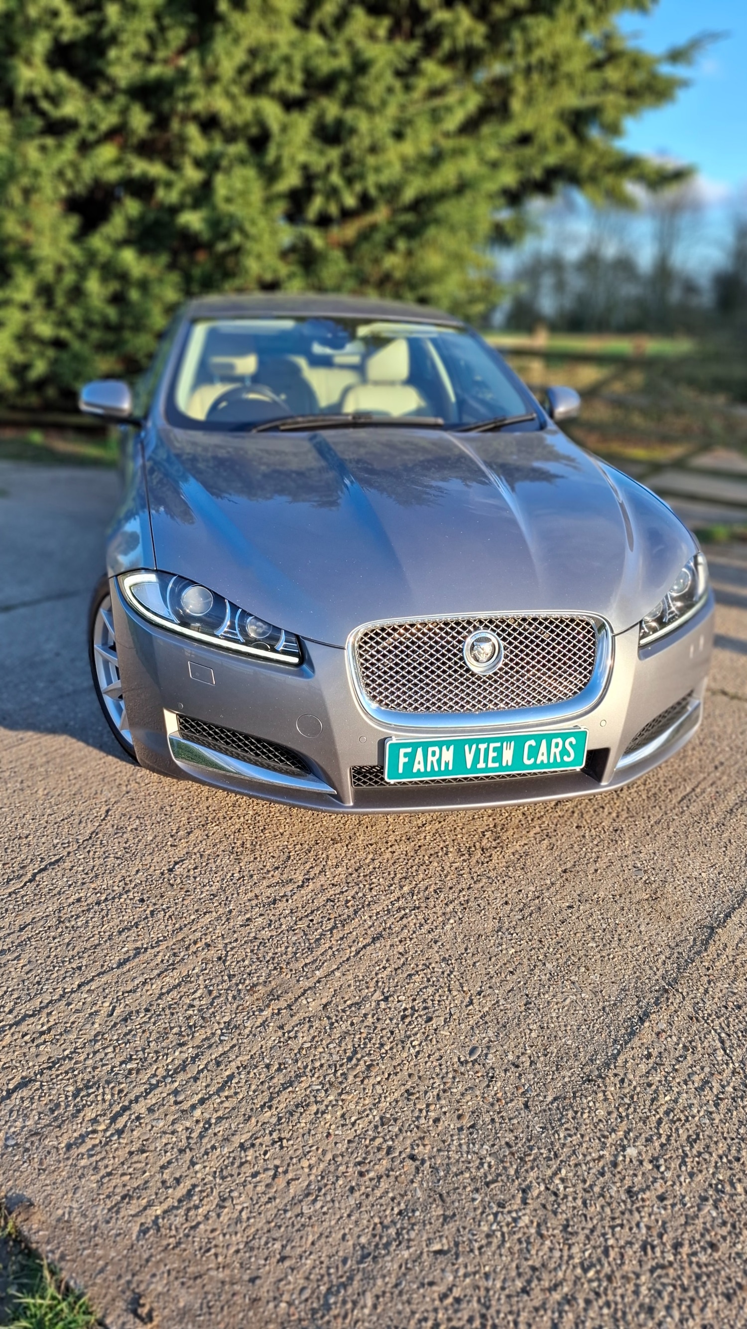 Used Jaguar XF 2012 for sale - 77852687: Photo 11