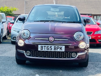 Used Fiat 500 2016 for sale - 75414071: Photo