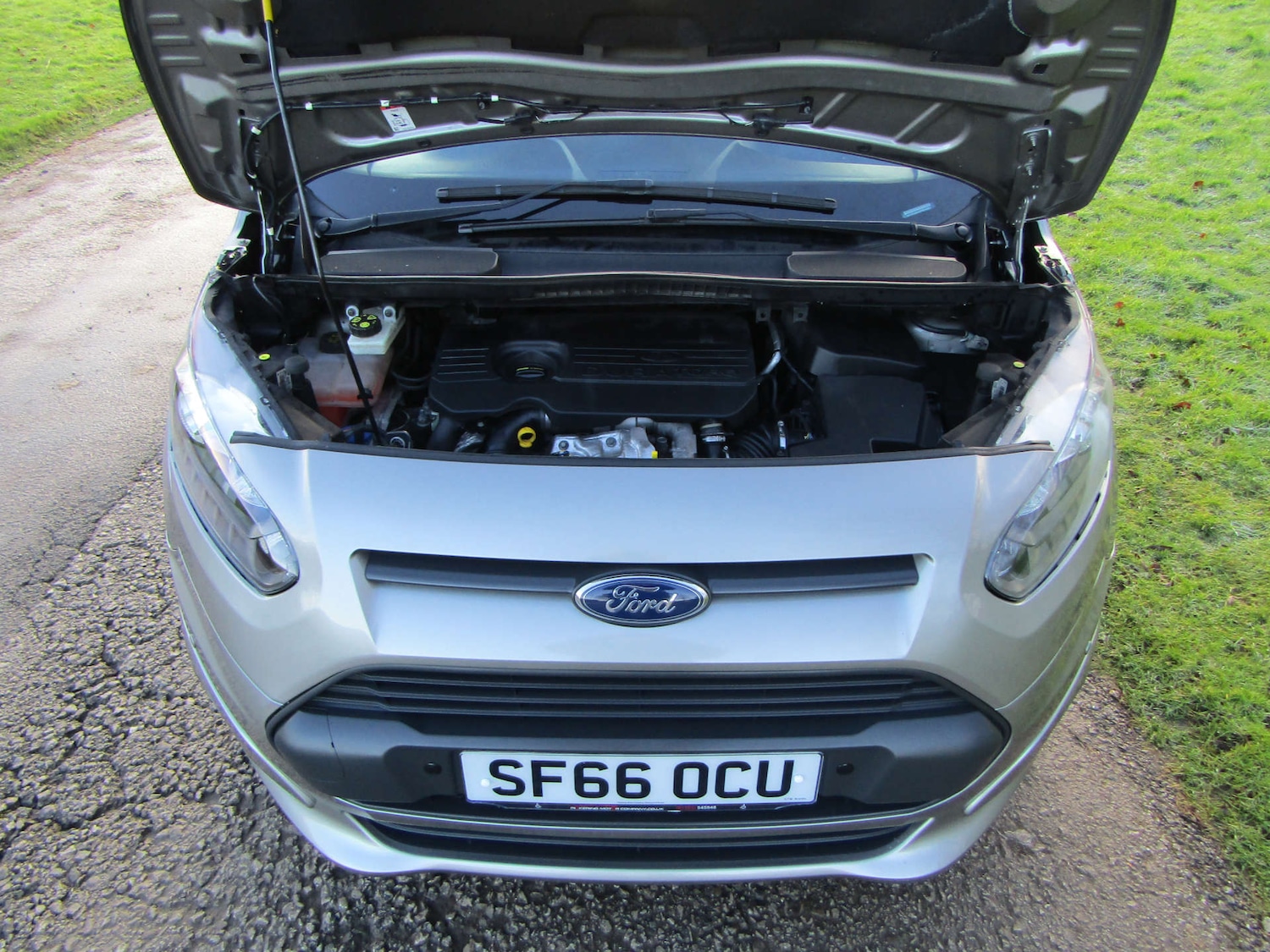 Used Ford Tourneo Connect 2016 for sale - 77022805: Photo 12