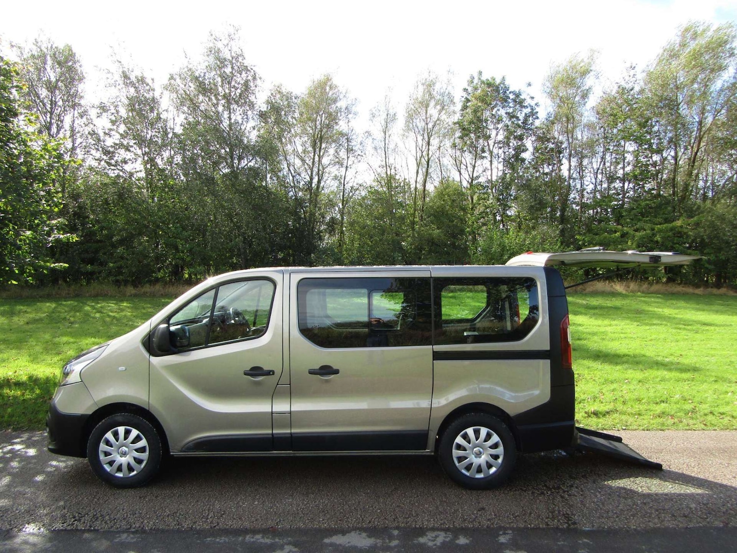Used Renault Trafic 2018 for sale - 76968862: Photo 1