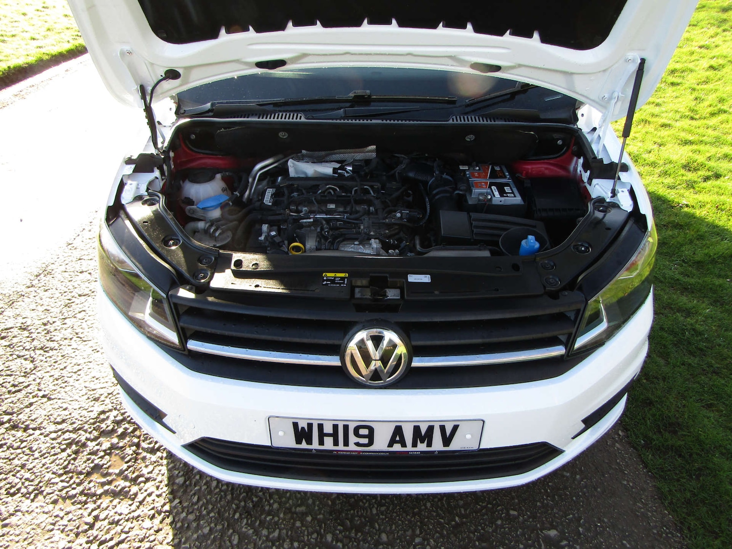 Used Volkswagen Caddy Maxi Life 2019 for sale - 77649782: Photo 10