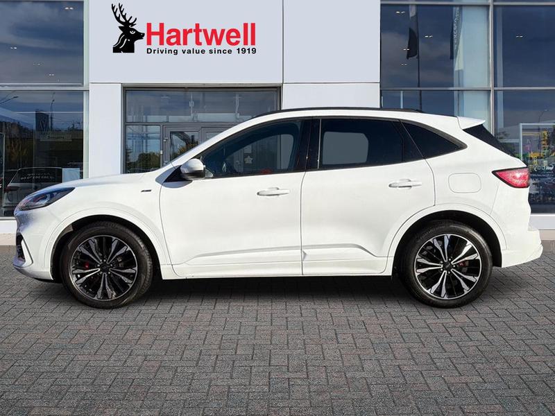 Used Ford Kuga 2022 for sale - 77296748: Photo 7