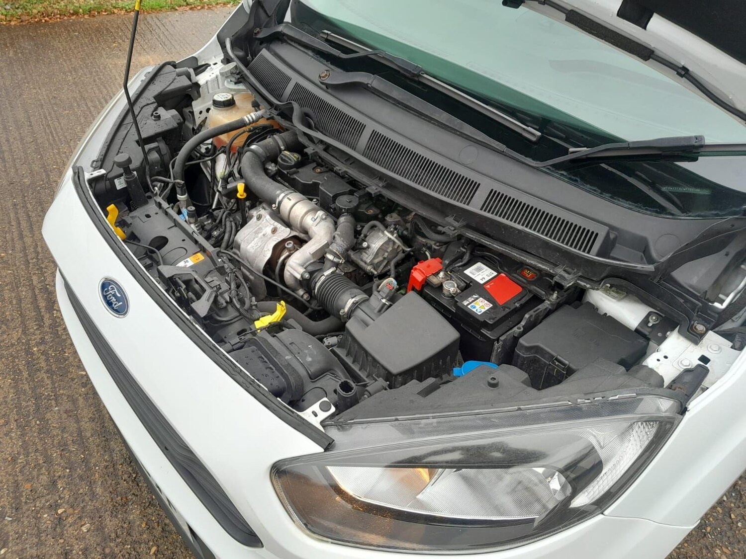 Used Ford Transit Courier for sale - 77639364: Photo 23