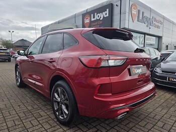 Used Ford Kuga 2020 for sale - 78255100: Photo